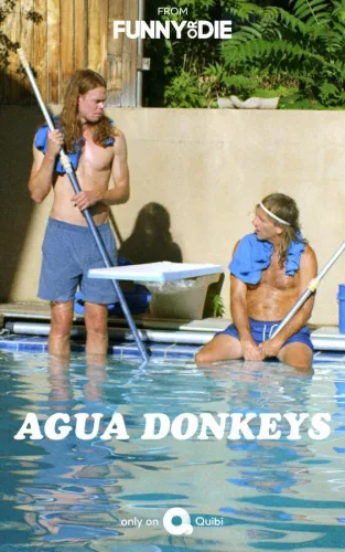 Agua Donkeys 